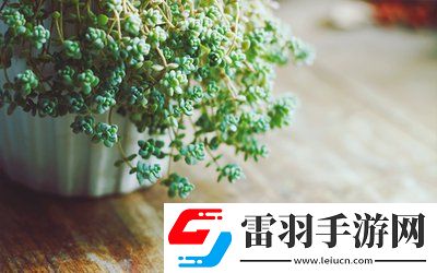 校园pop1n高中多场地文,青春无敌,网友:带你走进多场地高中的精彩纷呈!