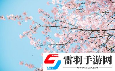 日本插槽x8是正规还是仿：设计到性能的认识，避免踩坑你需要知道的一切！