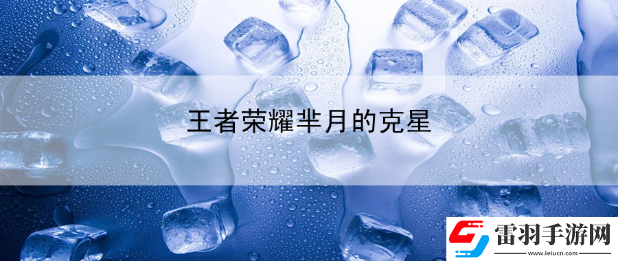 王者荣耀芈月的克星