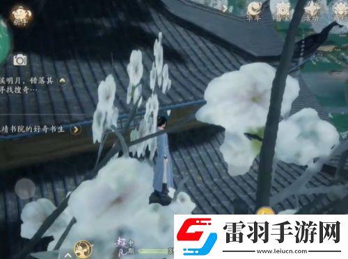 射雕梅坞搜奇宝藏图全收集攻略