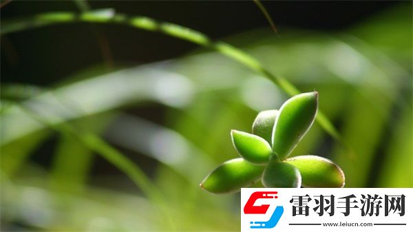 榴莲草莓西瓜茄子黄瓜