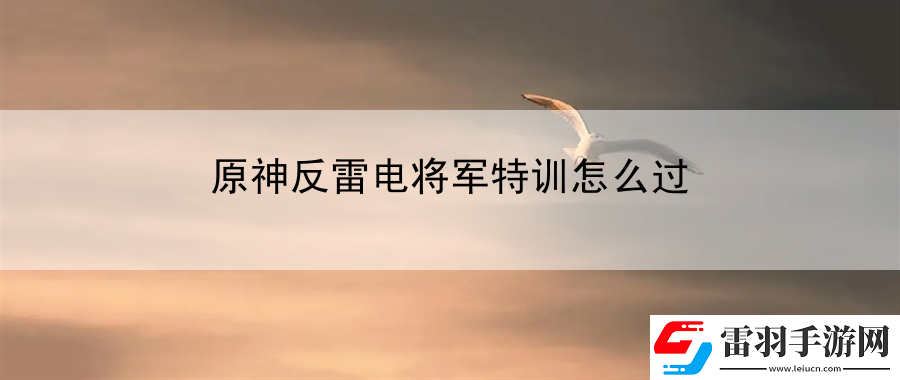 原神反雷电将军特训怎么过