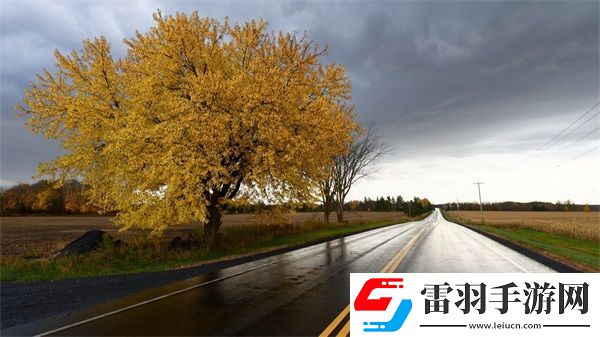 麻花豆旗下苏娅苏语棠是谁