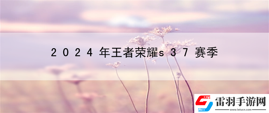 2024年王者荣耀s37赛季