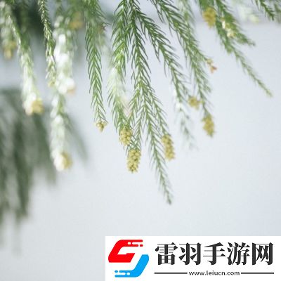 68式是怎么样的图片：文化传承——感受经典武器的魅力与时代精神！