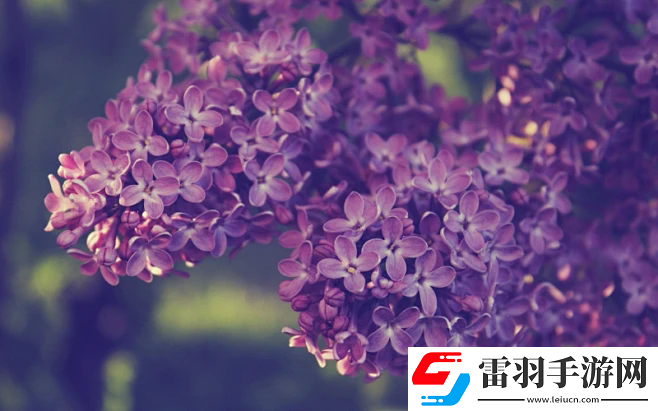青椒影视2.6.5:无与伦比的观影选择——极致优化与个性化推荐的完美结合!