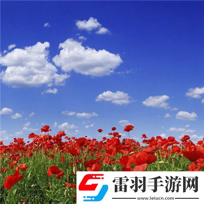 青椒影视2.6.5的全新功能：观影体验优化，解锁流畅高清观影体验的最佳选择！