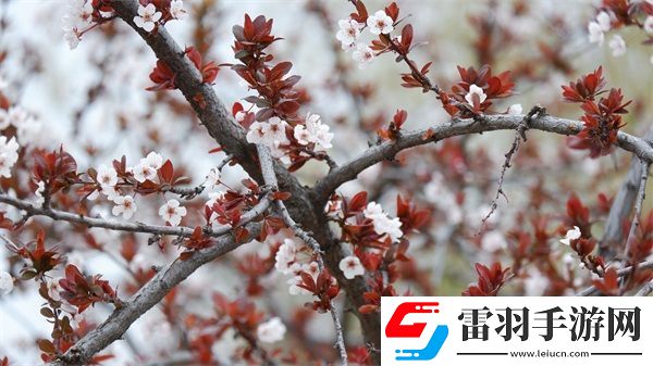 她开始慢迎迎合徐平雪周玉梅