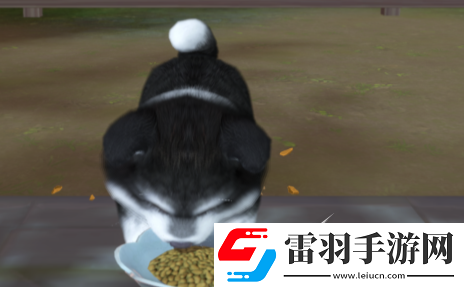 浮生忆玲珑府邸解锁方法