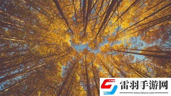 你仔细听1V1