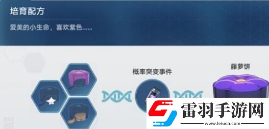 崩坏