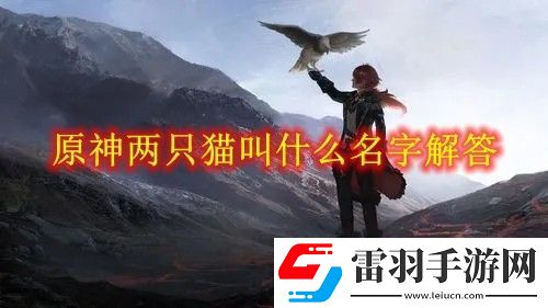 原神两只猫叫什么名字答案怎么选