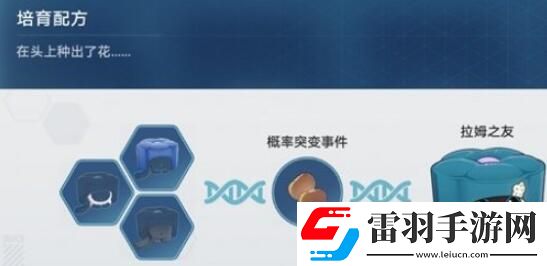 崩坏