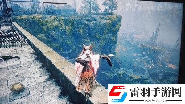 艾尔登法环黄金树之影DLC新武器在哪