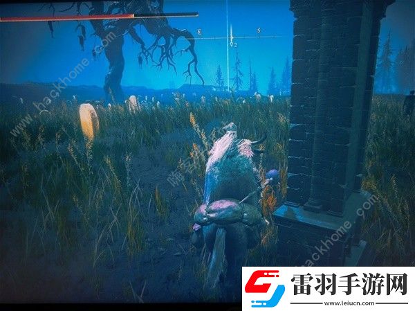 艾尔登法环幽影之地重要物品在哪