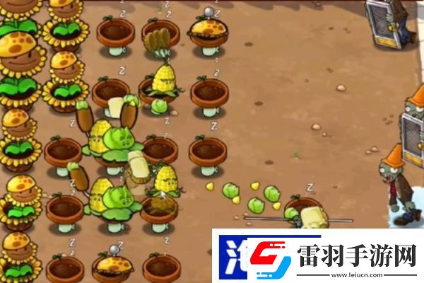 植物大战僵尸杂交版冒险第26关怎么过