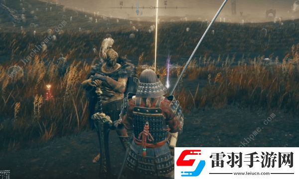 艾尔登法环DLC融泥骑士怎么打