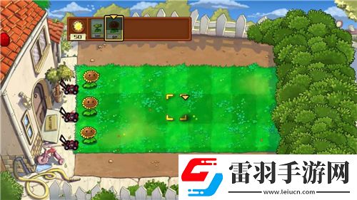 艾斯卡与罗吉探秘奇幻之门——炼金工房开启神秘冒险之旅