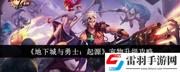 地下城与勇士起源宠物升级攻略