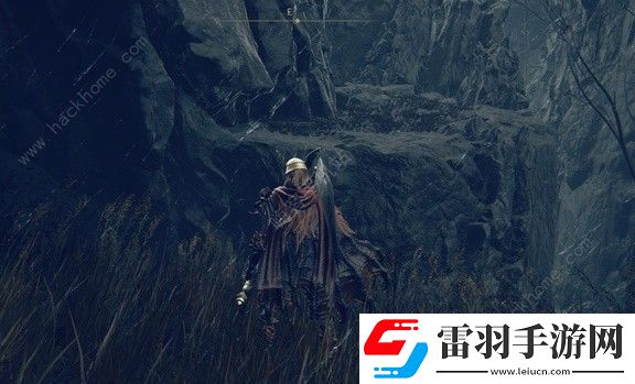 艾尔登法环DLC双轮修行者怎么打