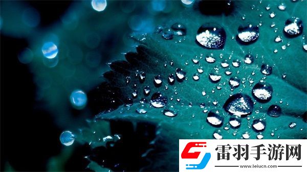 伊春园一路二路三路入口