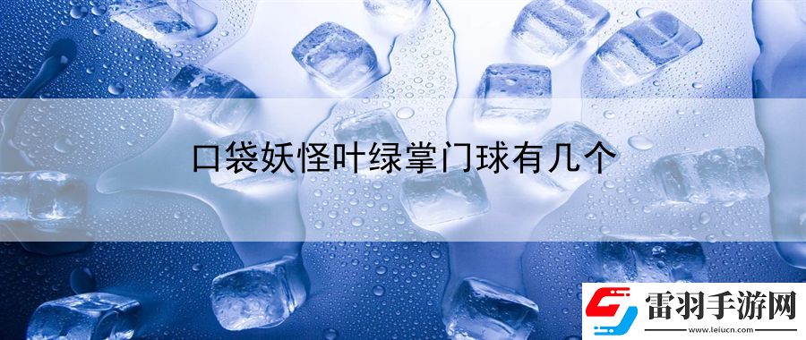 口袋妖怪叶绿掌门球有几个