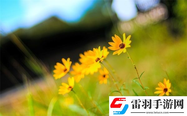 授课方式by清欢