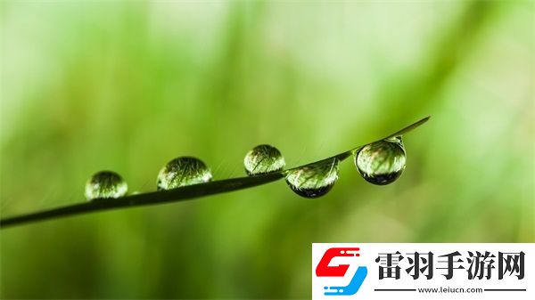 精品乱码卡1卡2卡3免费开放