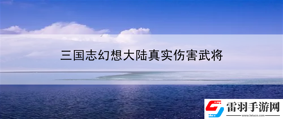 三国志幻想大陆真实伤害武将