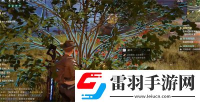 亚麻纤维获得方法介绍