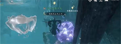 龟腹甲骨获得方法介绍