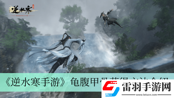 龟腹甲骨获得方法介绍