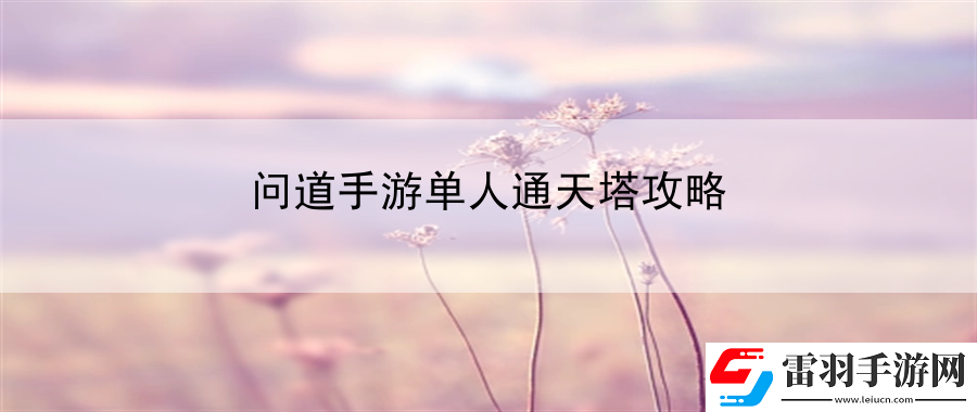问道手游单人通天塔攻略