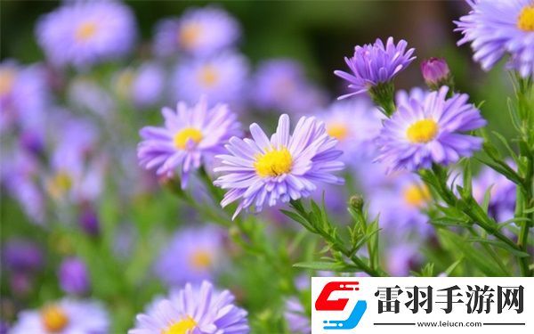 一个晚上接了八个客人还能接吗