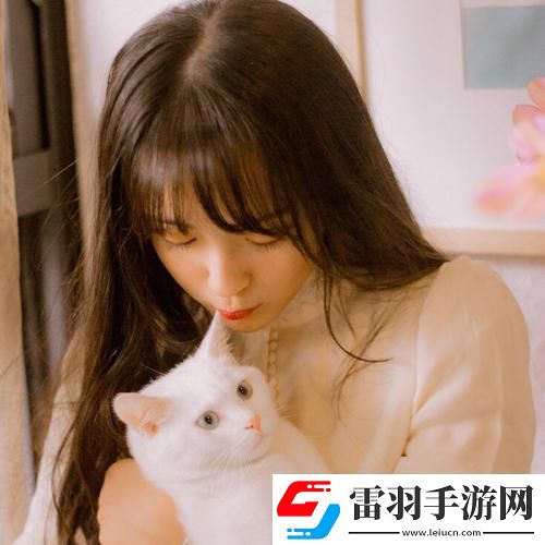 43417大但人文艺术展览地点