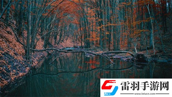 9i传媒有限公司