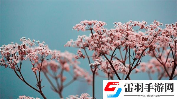 糙汉1/Nh
