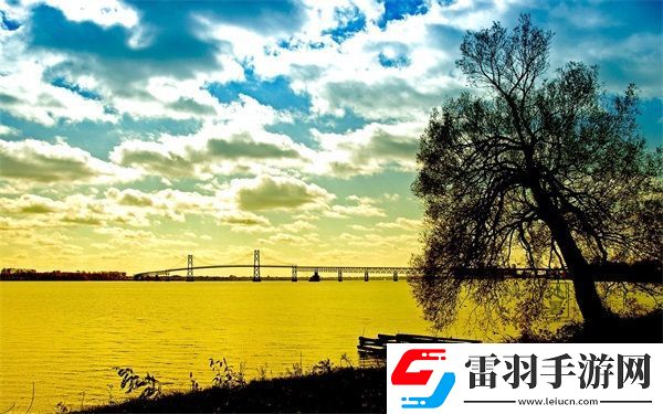 成品网站1688入门