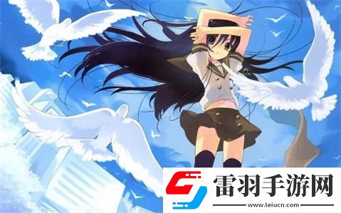 77网站
