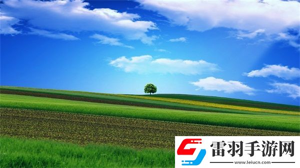大象回家2022秘密人口