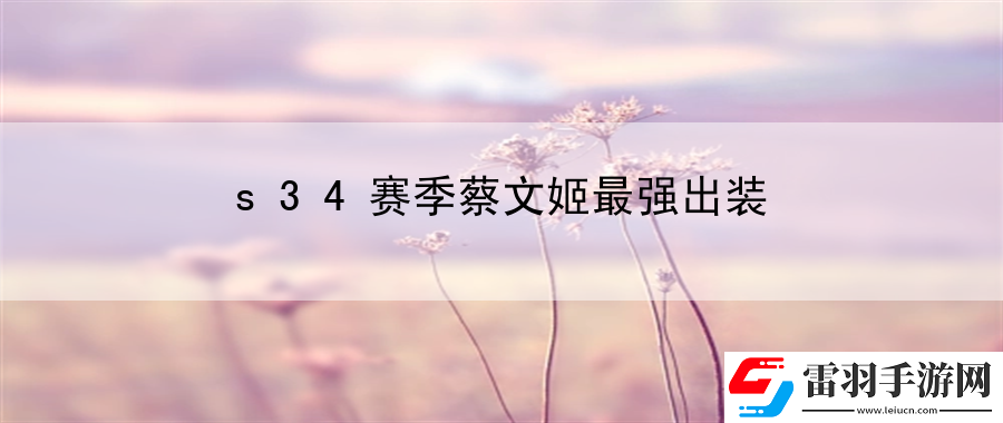s34赛季蔡文姬最强出装