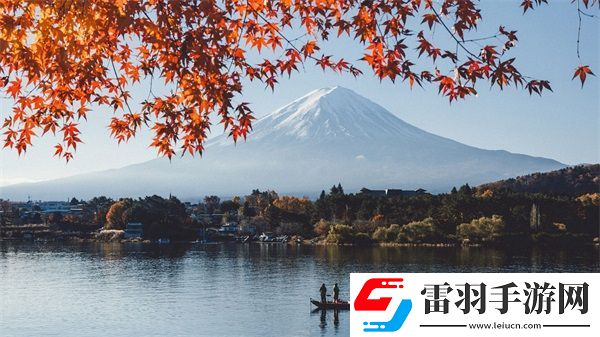 SEO短视频网页入口引流技巧