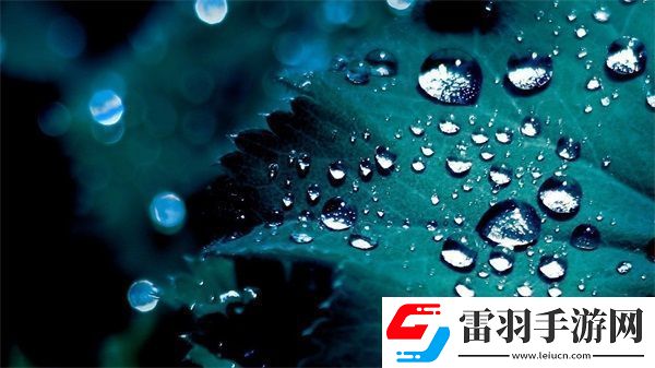 厨房一路干到卧室最简单处理方法