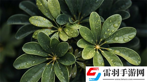 房间里的二人世界原声