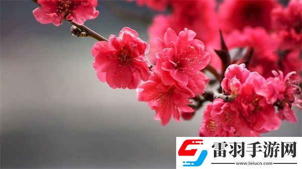 久产九人力资源有限公司丰沛有鱼
