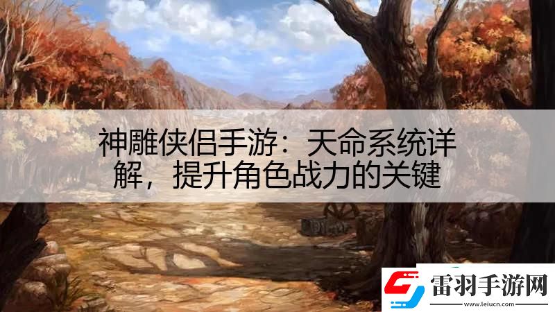 神雕侠侣手游