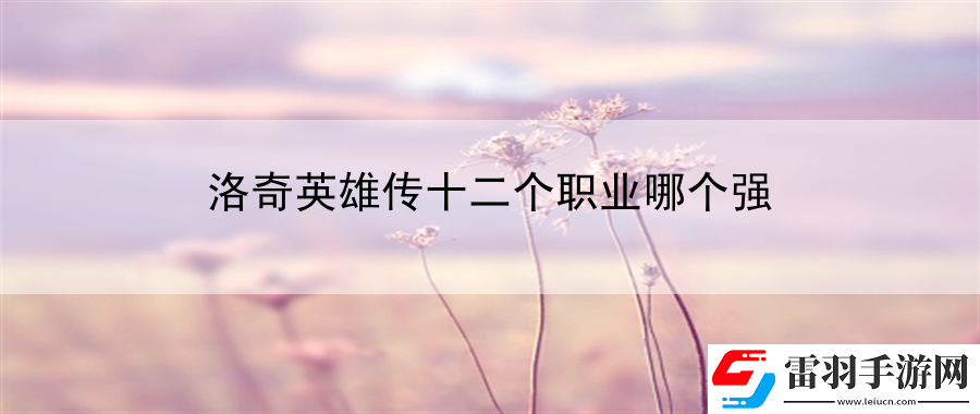 洛奇英雄传十二个职业哪个强