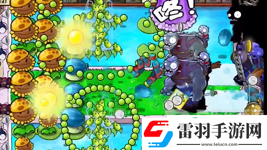 植物大战僵尸杂交版冒险模式第十七关怎么过
