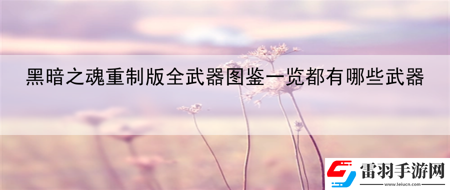 黑暗之魂重制版全武器图鉴一览都有哪些武器