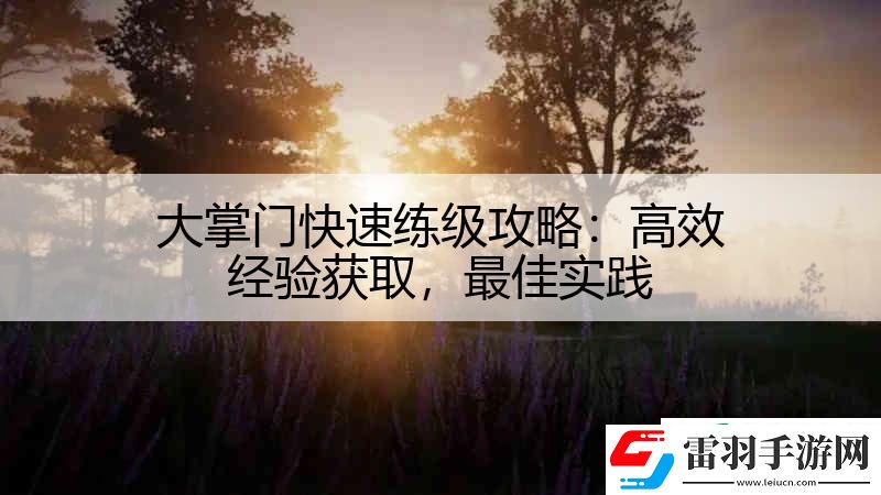 大掌门快速练级攻略